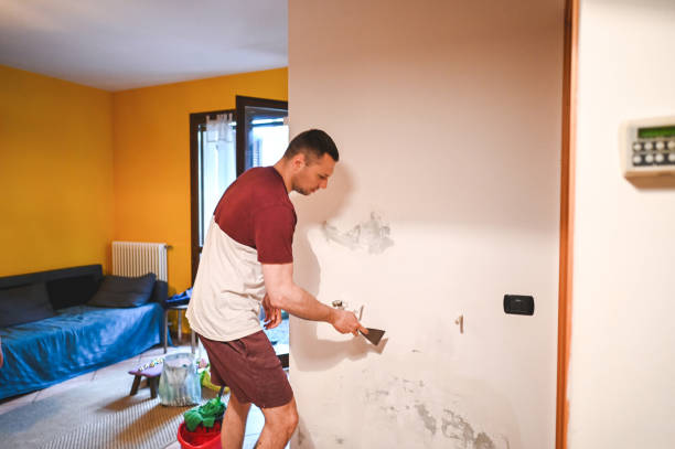 Best Professional Mold Removal  in New Freedom, PA